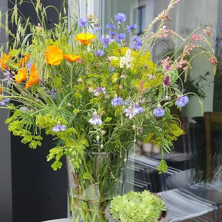 Casa vacanze Alb - Lotte *