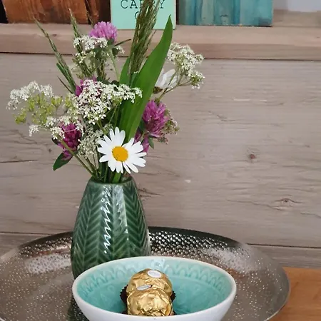 Casa de Férias Alb - Lotte *