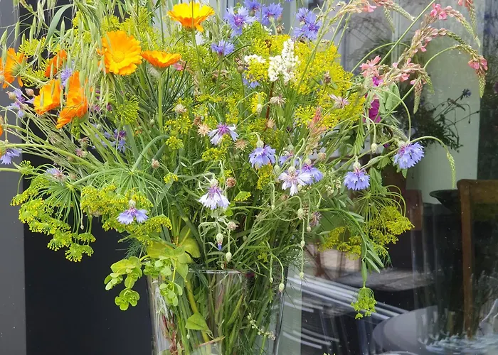 Casa vacanze Alb - Lotte *